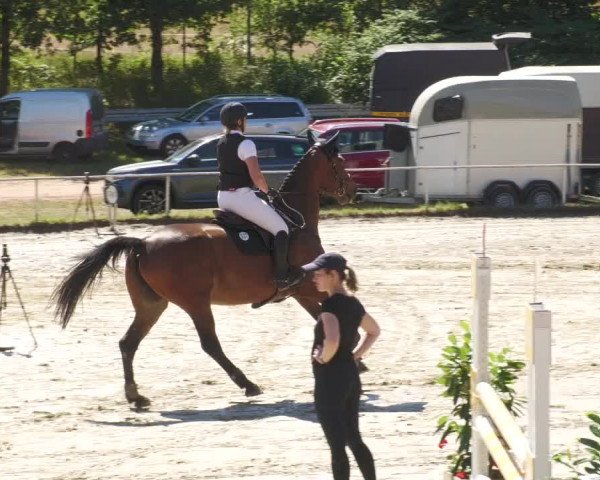 Reitturnier Heiligenwald 2022