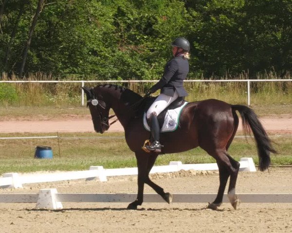 Reitturnier Heiligenwald 2022