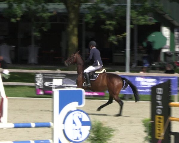 Reitturnier Barlo-Bocholt 2022