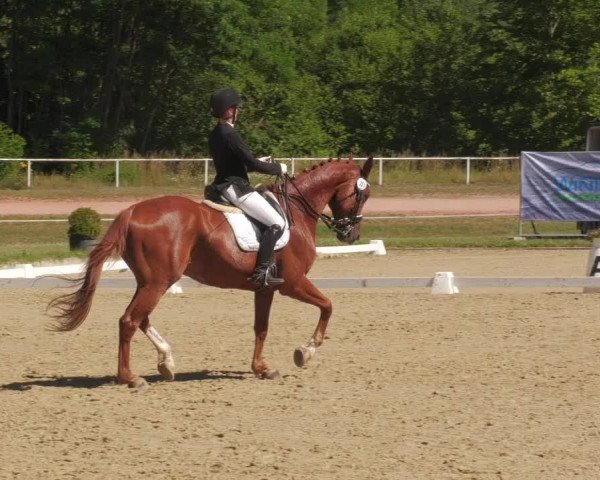 Reitturnier Heiligenwald 2022