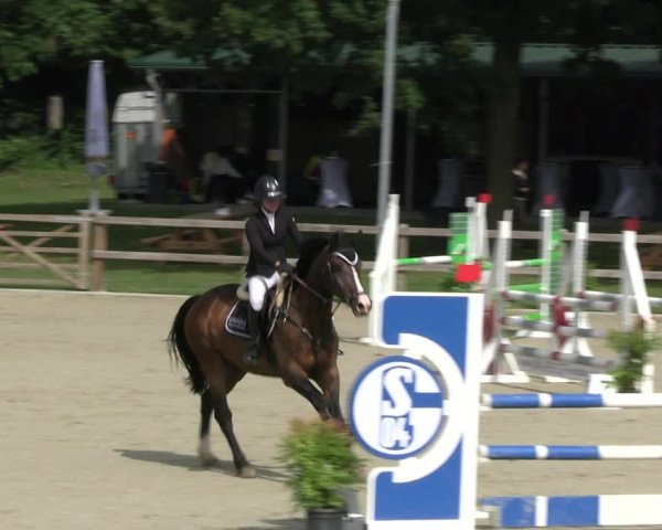 Reitturnier Barlo-Bocholt 2022