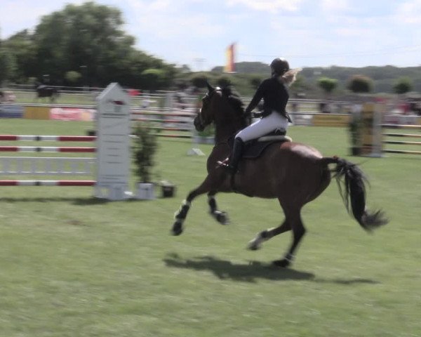 Reitturnier Dersekow 2022