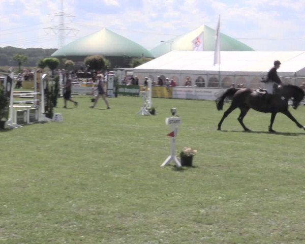 Reitturnier Dersekow 2022