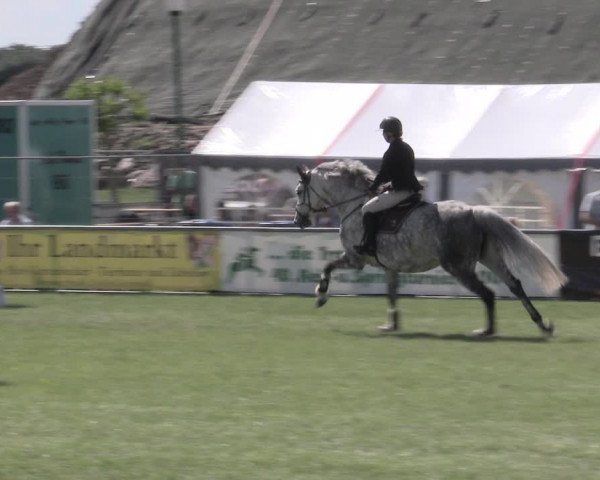 Reitturnier Dersekow 2022