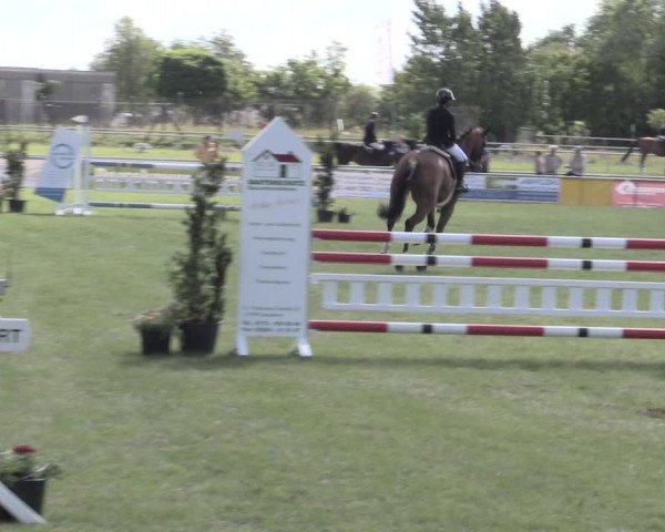 Reitturnier Dersekow 2022