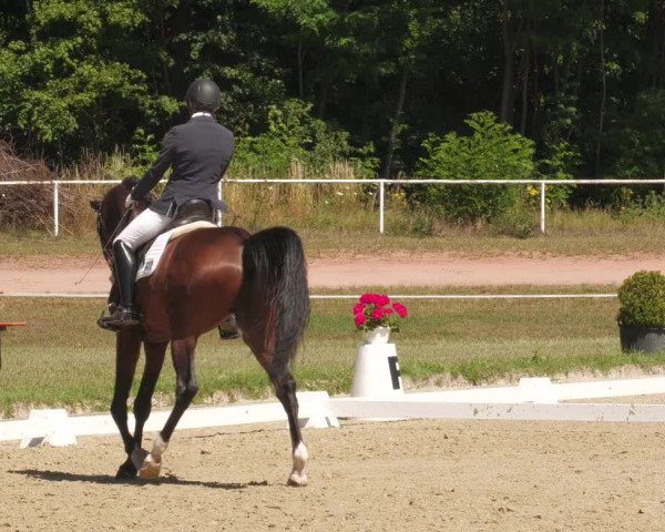 Reitturnier Heiligenwald 2022