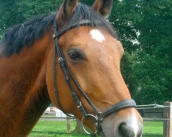 jumper Findus H (Rhinelander, 2004, from Feinsinn)