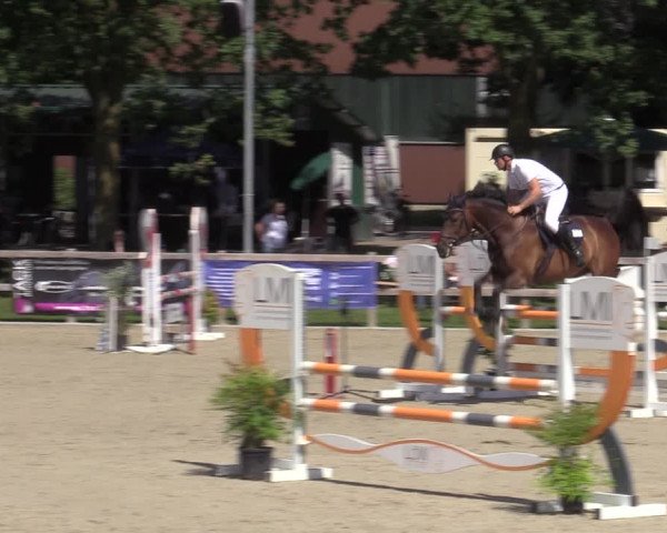 Reitturnier Barlo-Bocholt 2022