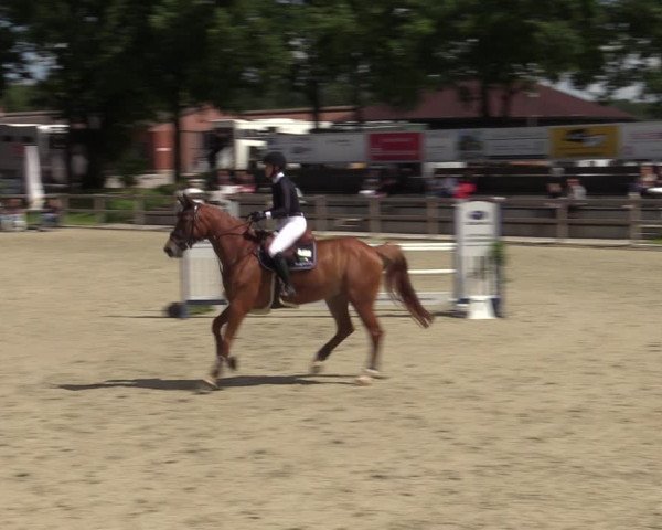 Reitturnier Barlo-Bocholt 2022