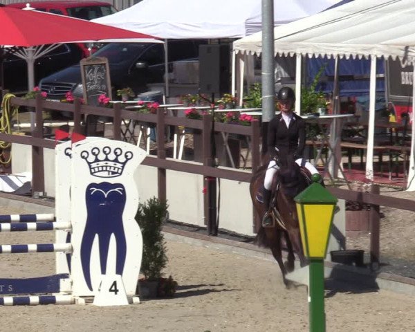 Reitturnier Leichlingen-Witzhelden - Sieferhof 2022