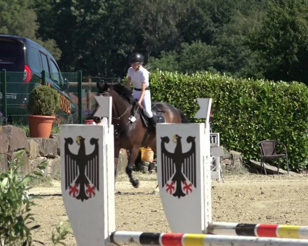 Reitturnier Lindlar-Süttenbach 2022