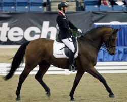 dressage horse Don Turner (Hessian Warmblood, 2002, from Dartagnan)