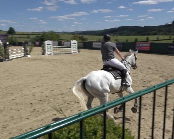 Reitturnier Lindlar-Süttenbach 2022