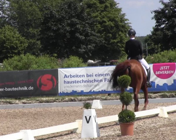 Reitturnier Pausin 2022