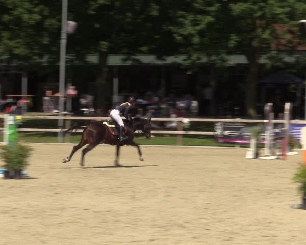 Reitturnier Barlo-Bocholt 2022