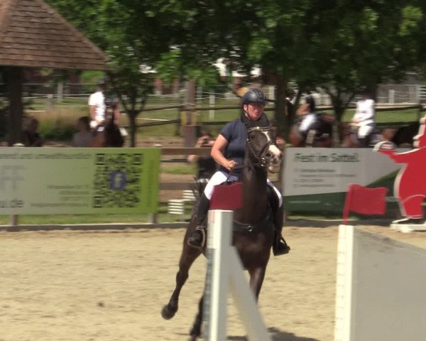 Reitturnier Barlo-Bocholt 2022