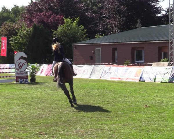 Reitturnier Wohlesbostel 2022