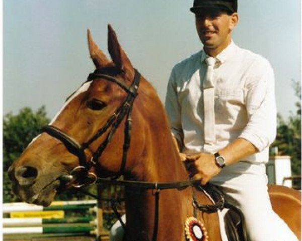 broodmare Fraija (Hessian Warmblood, 1985, from Fürstengold)