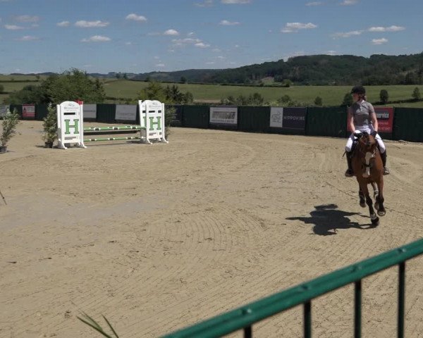 Reitturnier Lindlar-Süttenbach 2022