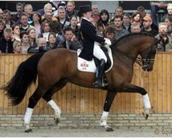 stallion Prestige (KWPN (Royal Dutch Sporthorse), 1997, from Silvano)