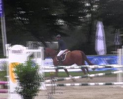 jumper Quila Rubin (Westphalian, 2007, from Quidam's Rubin)