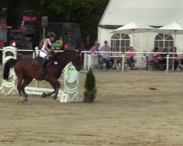 Reitturnier Ostenfelde-Vornholz 2021
