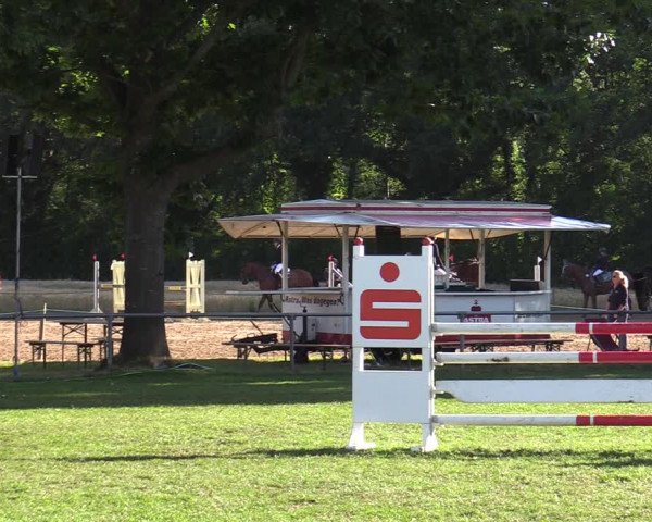 Reitturnier Wohlesbostel 2022