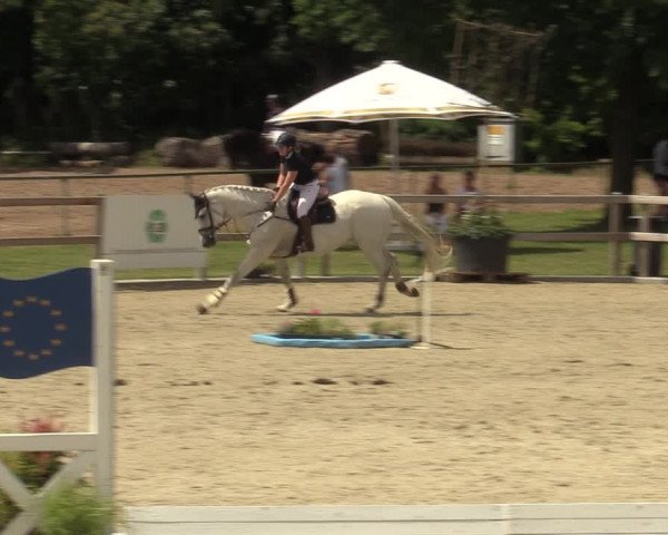 Reitturnier Barlo-Bocholt 2022