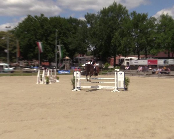 Reitturnier Barlo-Bocholt 2022