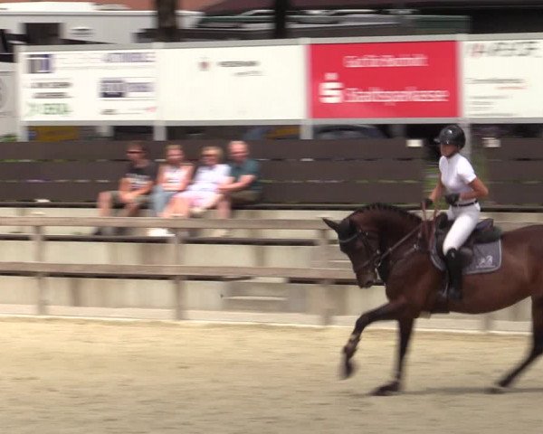 Reitturnier Barlo-Bocholt 2022