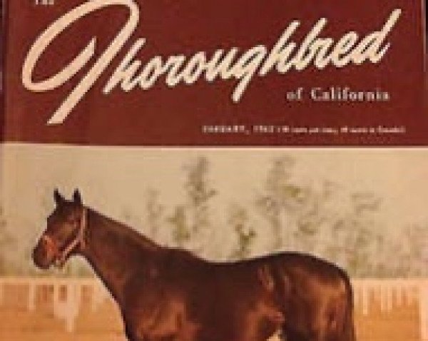 stallion Fleet Nasrullah xx (Thoroughbred, 1955, from Nasrullah xx)