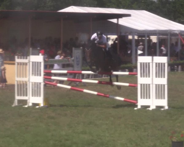 Reitturnier Ihleburg 2022