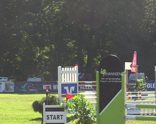 Reitturnier Wohlesbostel 2022