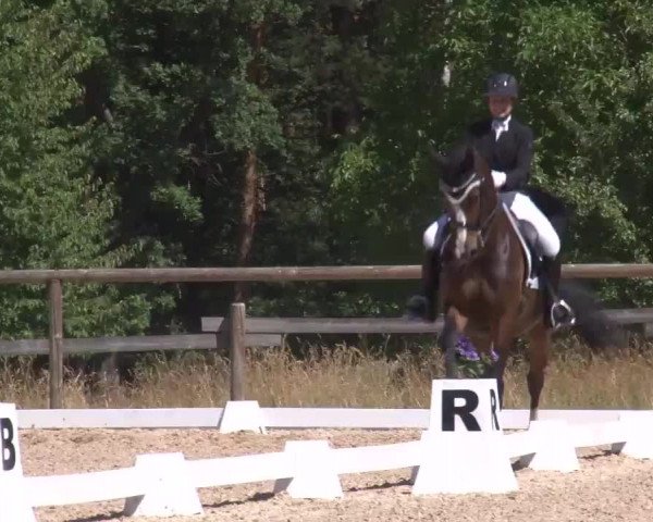 Reitturnier Kreuth/Opf. 2022