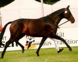 broodmare Baccarole (Rhinelander, 1990, from Brentano II)