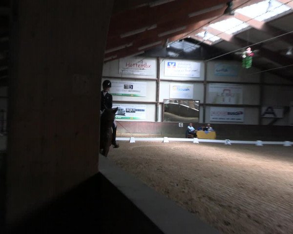 Reitturnier Barlo-Bocholt 2022
