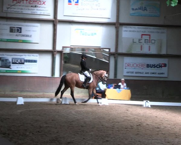 Reitturnier Barlo-Bocholt 2022