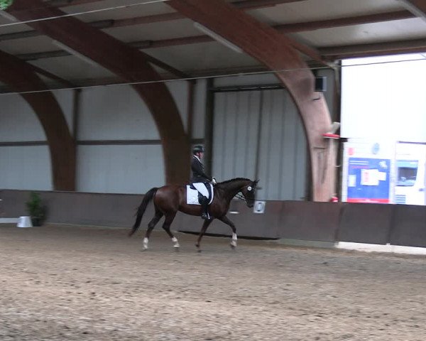 Reitturnier Barlo-Bocholt 2022