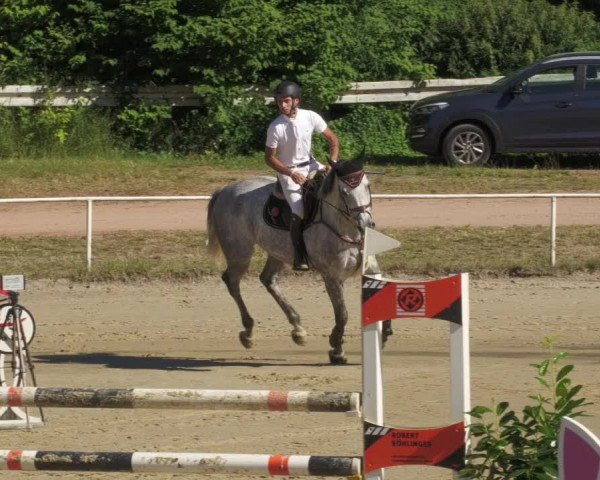 Reitturnier Heiligenwald 2022
