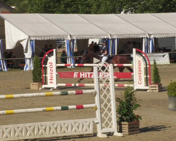 Reitturnier Heiligenwald 2022
