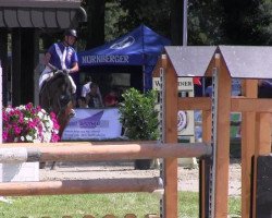 jumper Canavaro 9 (Holsteiner, 2005, from Contact Me)