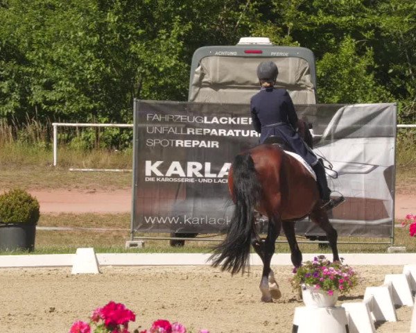 Reitturnier Heiligenwald 2022