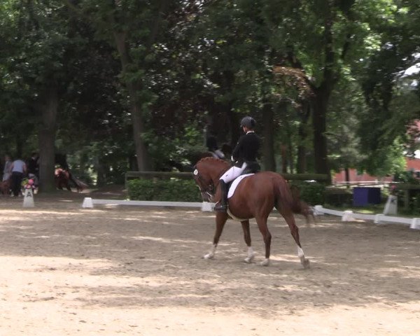 Reitturnier Barlo-Bocholt 2022