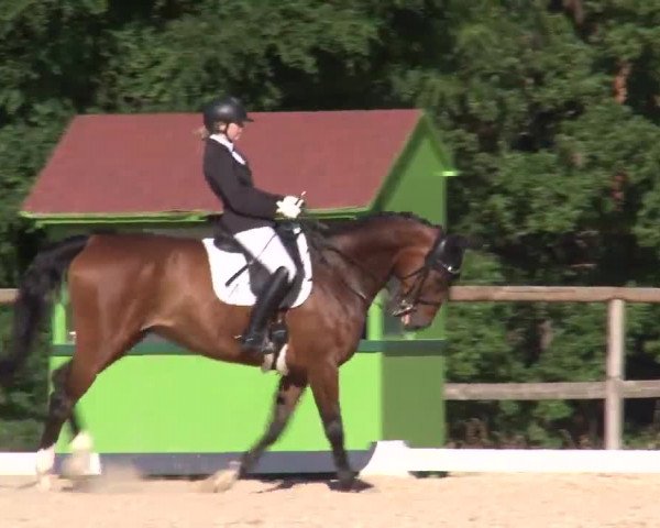 Reitturnier Kreuth/Opf. 2022