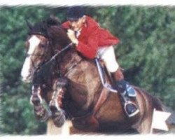 broodmare Finesse (KWPN (Royal Dutch Sporthorse), 1987, from Voltaire)