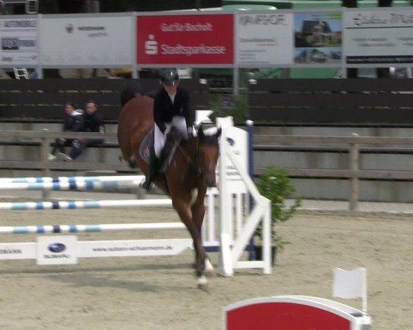 Reitturnier Barlo-Bocholt 2022