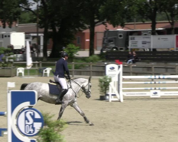 Reitturnier Barlo-Bocholt 2022
