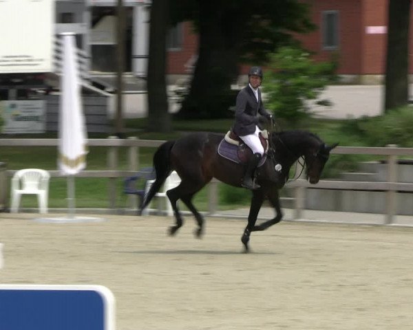 Reitturnier Barlo-Bocholt 2022