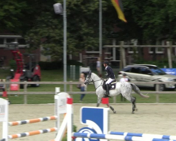 Reitturnier Barlo-Bocholt 2022