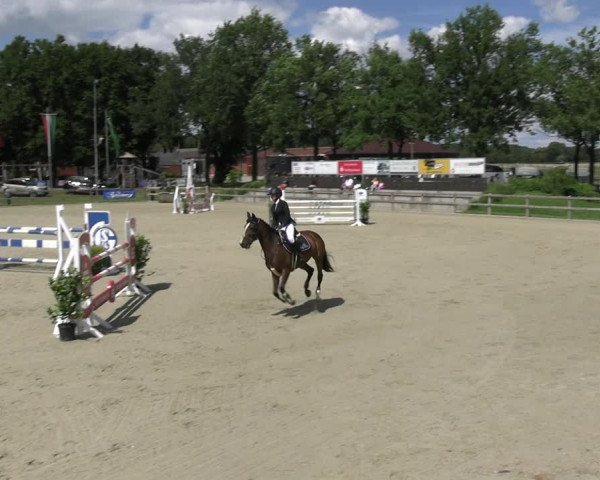 Reitturnier Barlo-Bocholt 2022